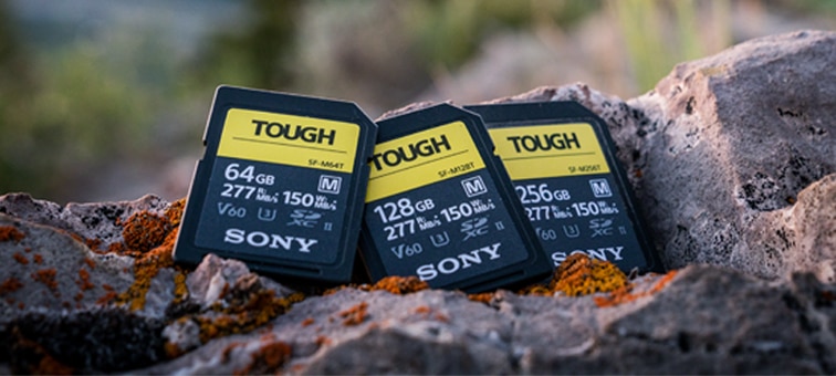 Picture of SF-M series TOUGH specification UHS-II SD Card
