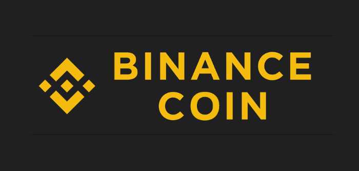 What is BNB and what is it used for?
