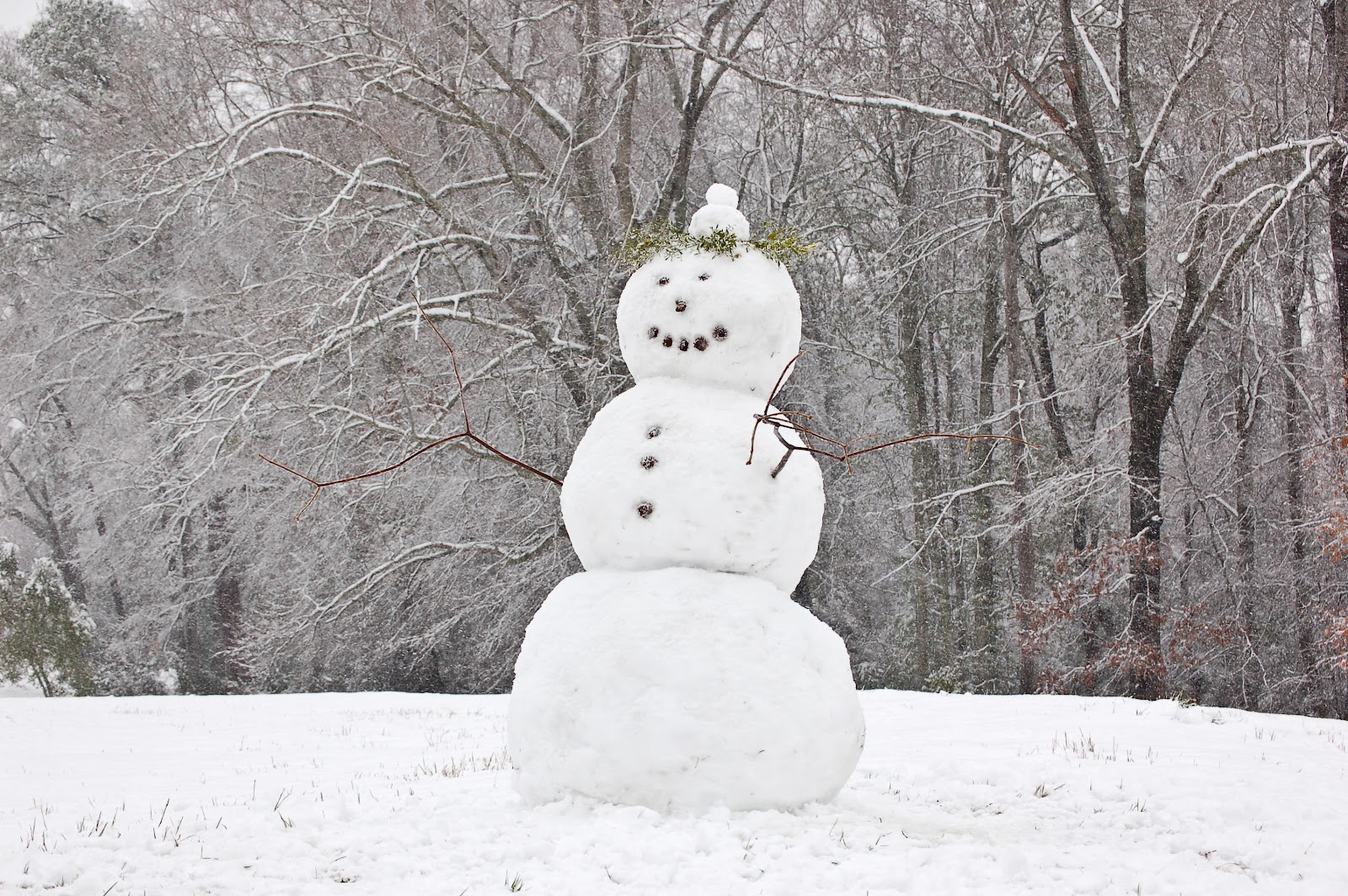 File:Auburn Alabama Snowman