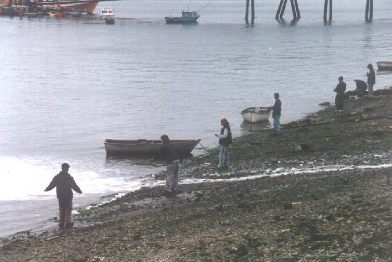 940462-Locals_fishing_by_the_beach-Isla_Chiloe.jpg