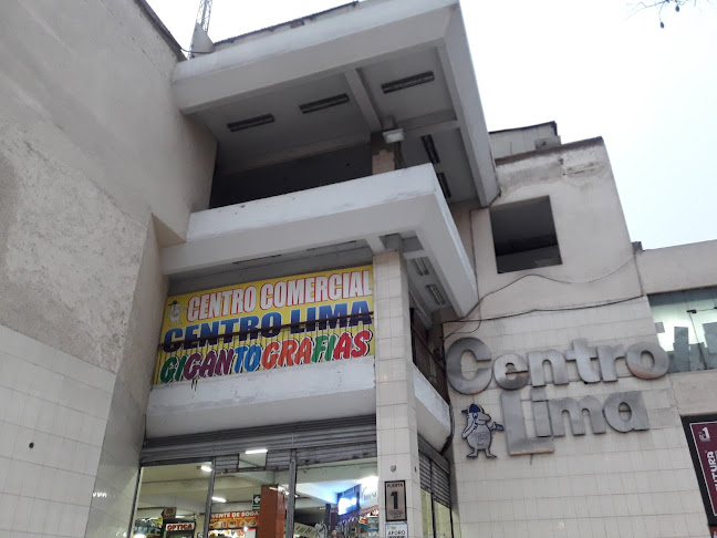 Mora Morita - Lima