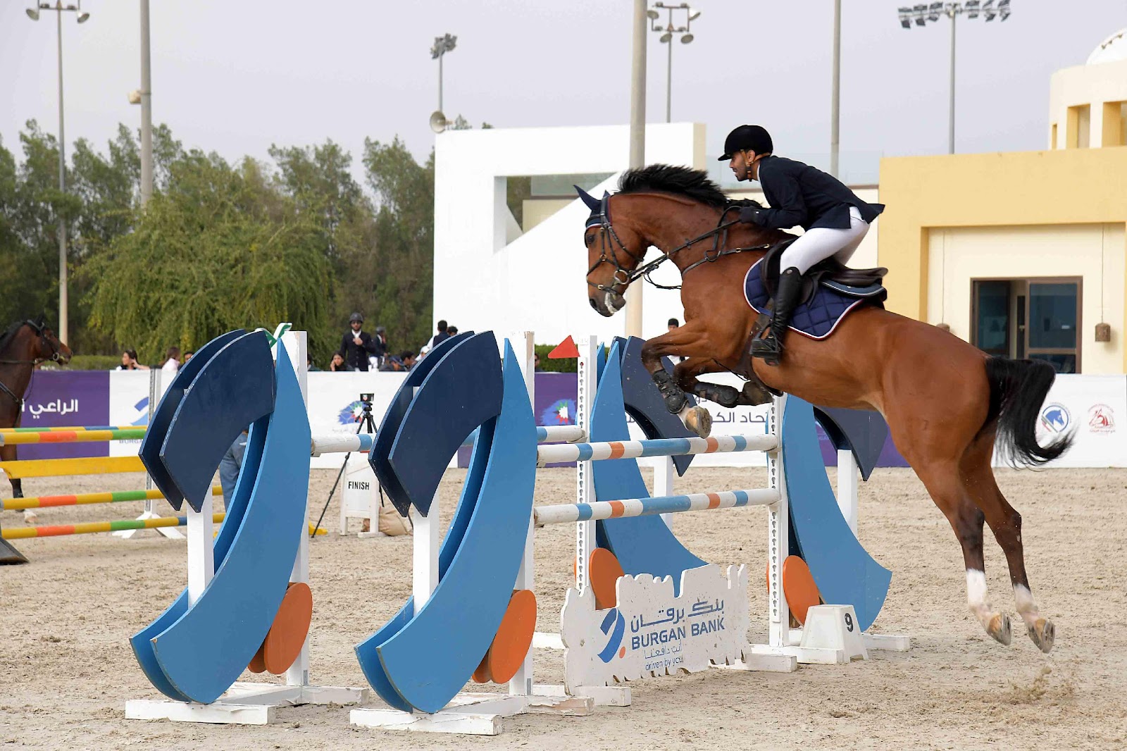 A picture containing outdoor, mammal, horse, riding

Description automatically generated