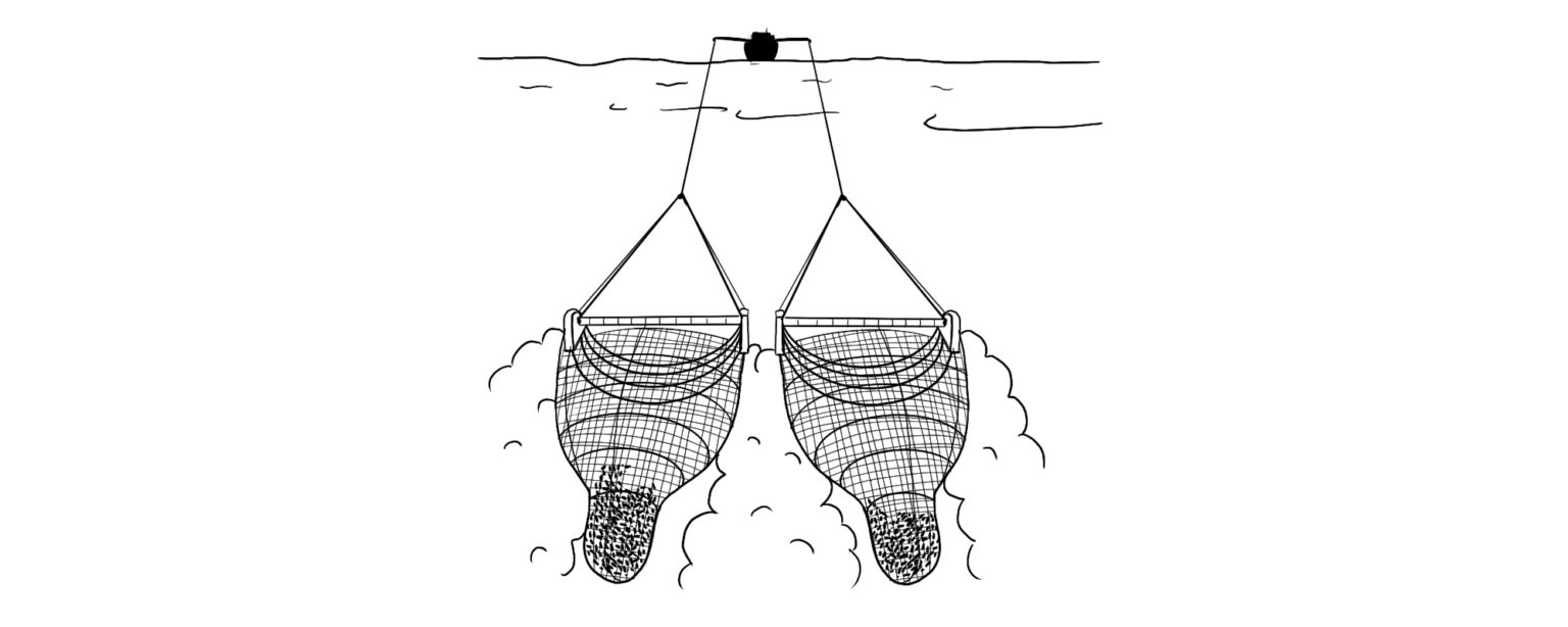 ✓️ Redes de Pesca y sus Tipos - Atarraya, de Arrastre, etc.