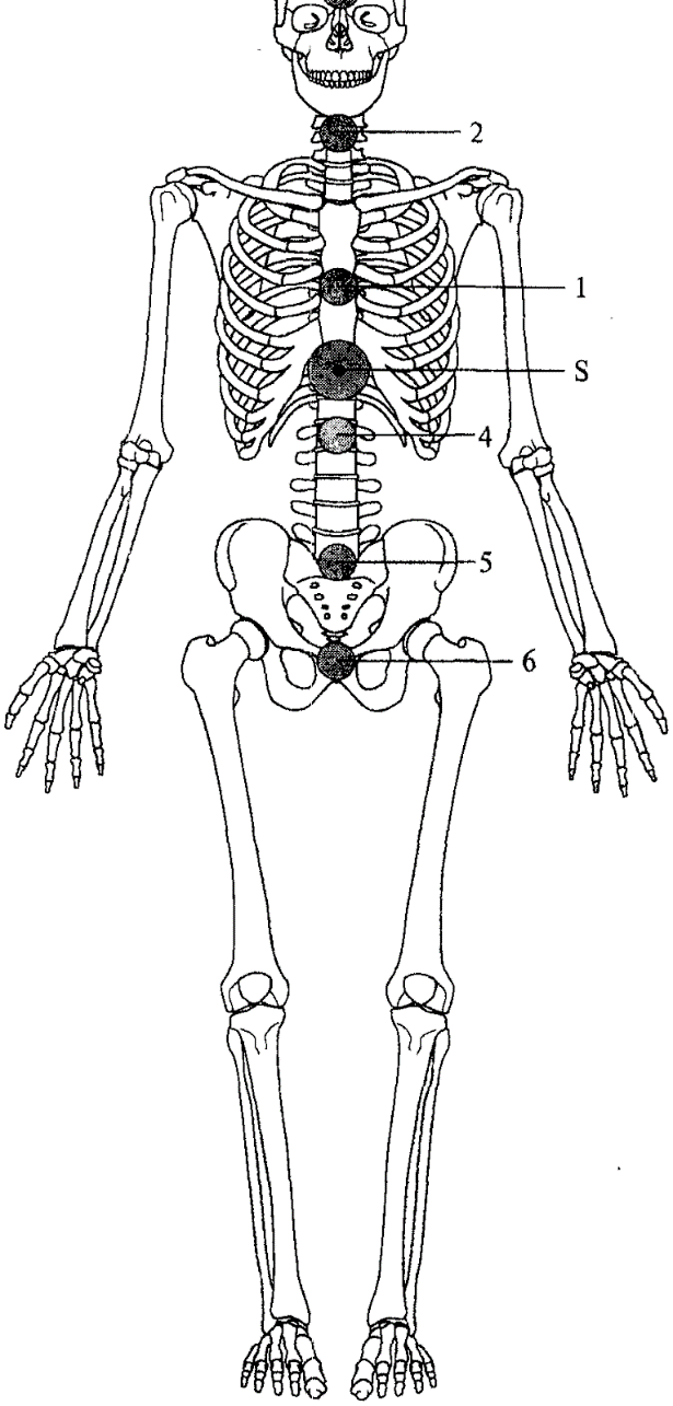 https://lh3.googleusercontent.com/DAEXXtC7i9nFjuL-ewzuUT4XYjUj_YzZdNl4_TQQvHTZad6rNd_a94N2bxmjfG1Va0x2U0ec0OCojYGVUty67YMl2bee4BBL7ySKDRFk3R4m8QP-zmhJCr0tH3HKCiaeOGBJeP9ppXYYZku-KQOHkXCyFJCcY5i3I7-GRV9wRL7p581N2Dx8_EYcNTyZxh3OdGE