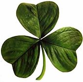 A Shamrock