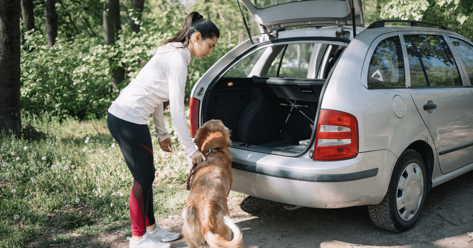 Woman standing next to seated dog waiting to get into the trunk of a car