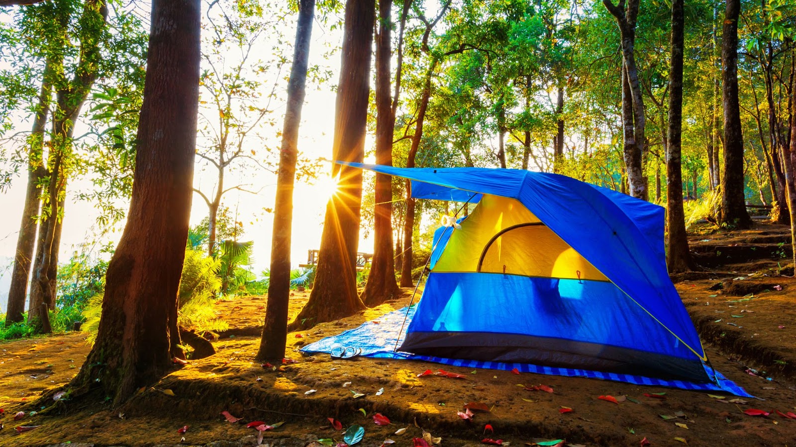 The Best Camping Tents - Reviews and Guide