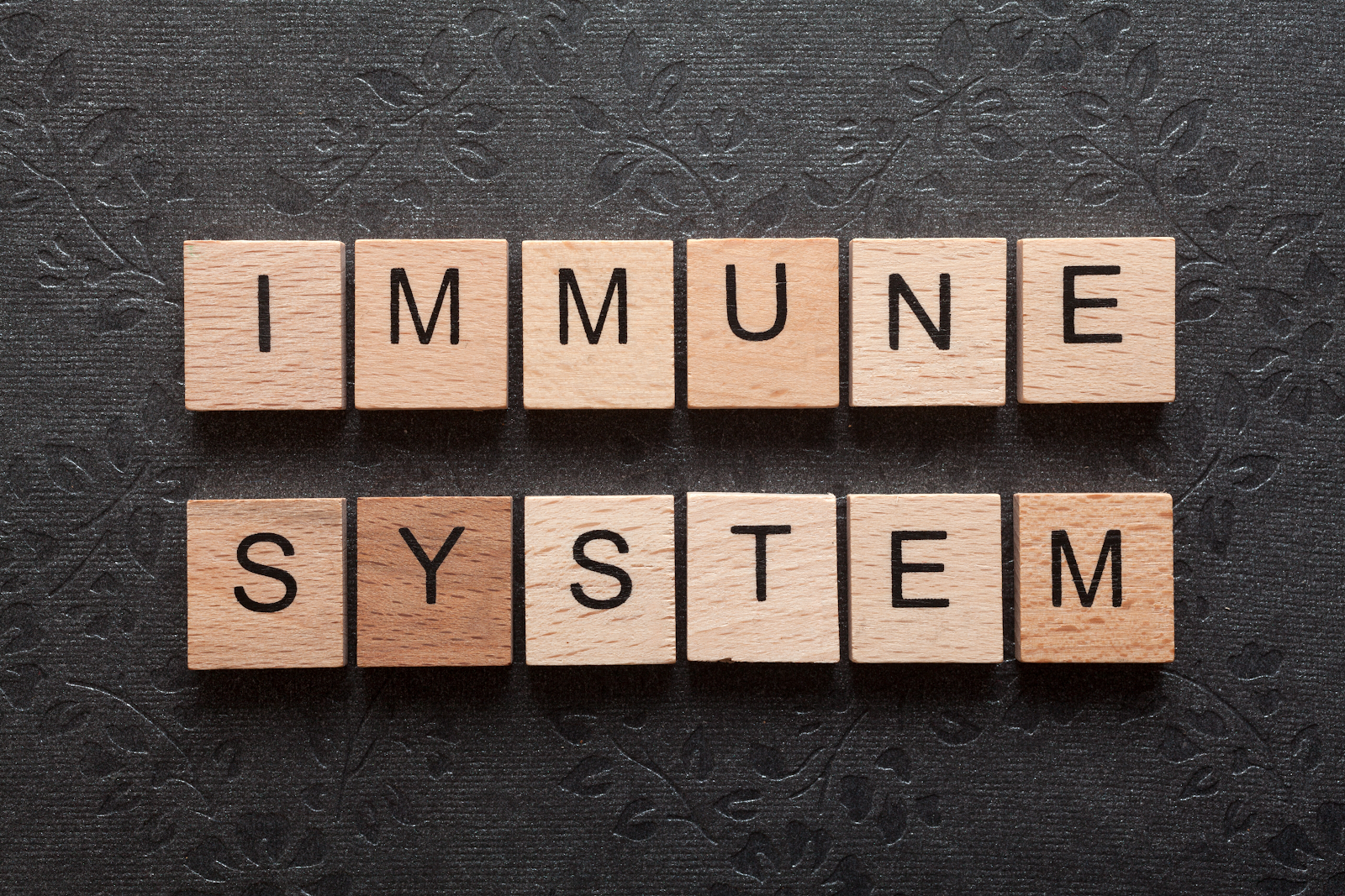 Immune System
