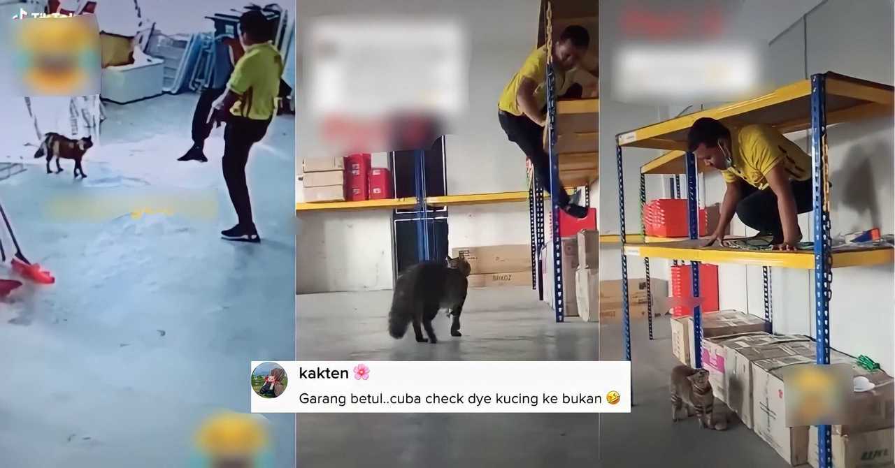 Lawak Wei, Meow Ni Gengster Habis, Melopat Lompat Abang tu