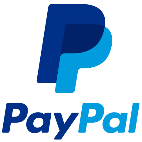 The History of Web Design paypal logo