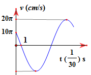 Hình dưới biểu diễn sự phụ thuộc của vận tốc của vật dao động điều hòa theo thời gian t. Phương trình li độ dao động điều hòa này là: