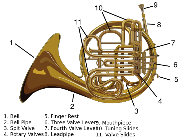 http://upload.wikimedia.org/wikipedia/commons/thumb/5/5a/Carynprice-French_Horn.svg/621px-Carynprice-French_Horn.svg.png