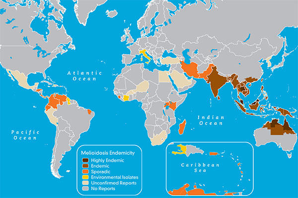 endemicity-map.jpg
