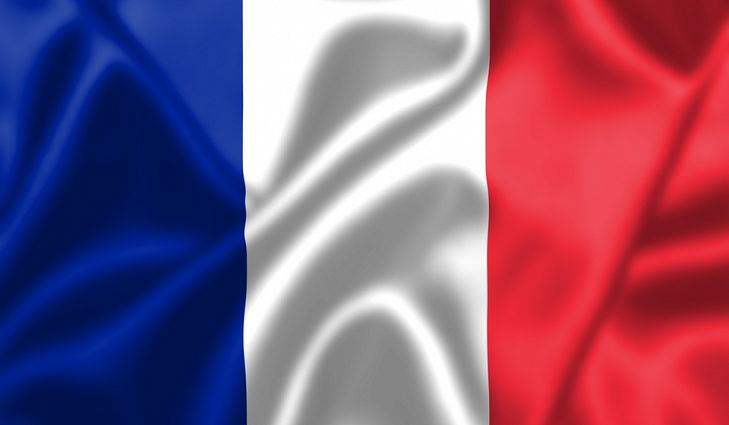 Image result for french flag picture