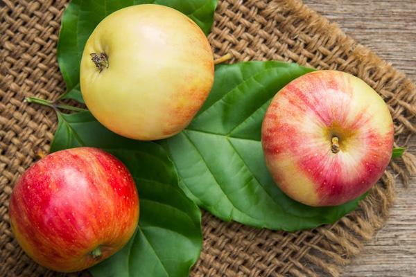 10 อาหารแก้ท้องผูก กระตุ้นการขับถ่าย ไฟเบอร์สูง กินแล้วสุขภาพดี - แอปเปิ้ล