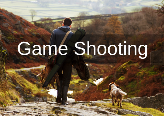 game shooting cover