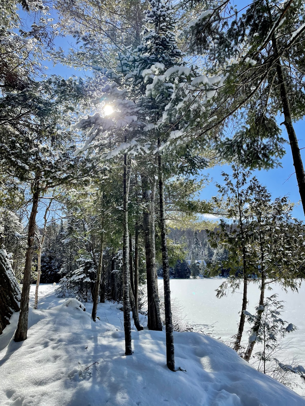 winter hikes muskoka