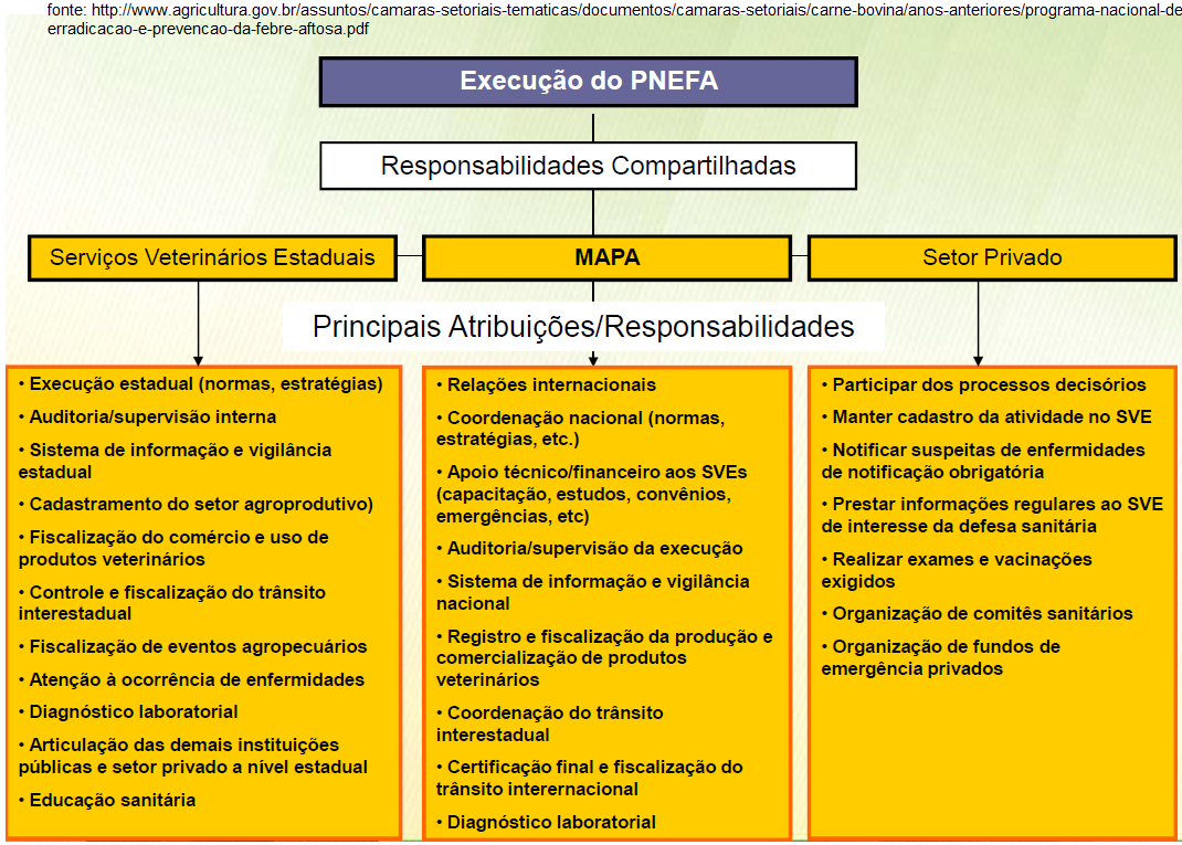 Figura 3: responsabilidades compartilhadas na execução do PNEFA