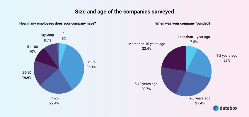 Size and age of the surveyed companies