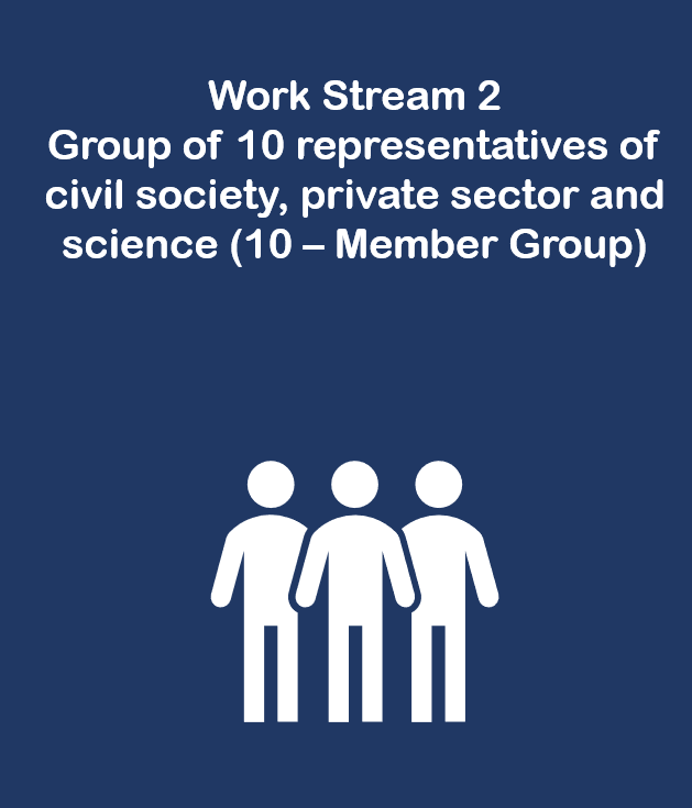 Work Stream 2: Group of 10 representatives of civil society, private sector and science (“10-Member Group”)