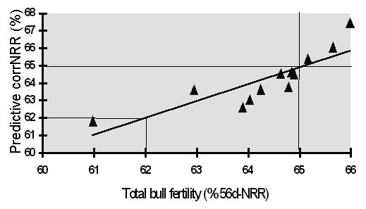 Relación predictiva (r= 0.94, p= 0.0001) entre fertilidad in vitro (calculada por la combinación de 7 parámetros espermáticos estadísticamente relacionados con fertilidad, analizados in vitro en 3 oparaciones de congelación/toro)