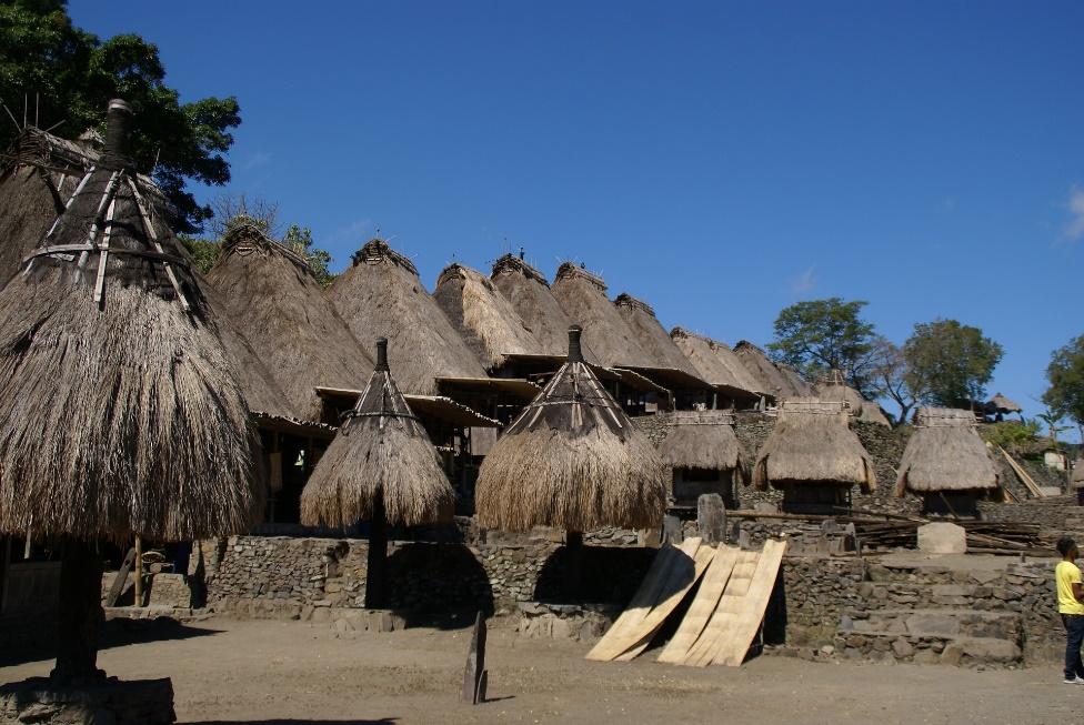 Traditional Village in Bajawa Flores