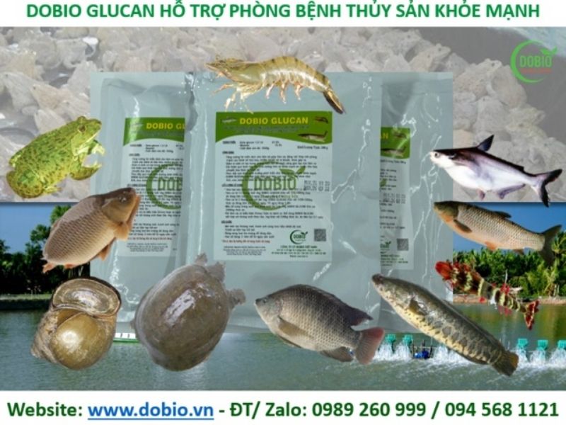 Dobio - Địa điểm cung cấp chế phẩm sinh học bổ sung cho thức ăn nuôi thủy sản