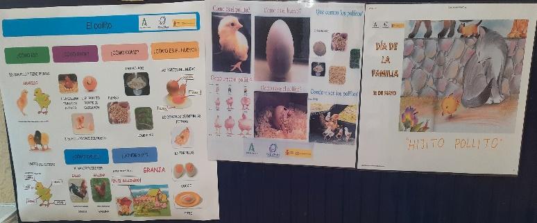 Interfaz de usuario gráfica, Aplicación, PowerPoint

Descripción generada automáticamente