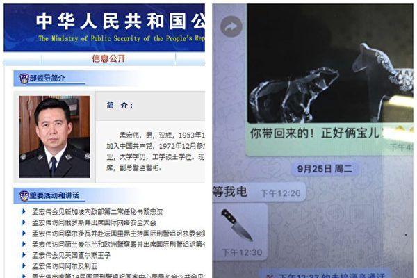宏伟妻子国际上高调发声 引华人热议