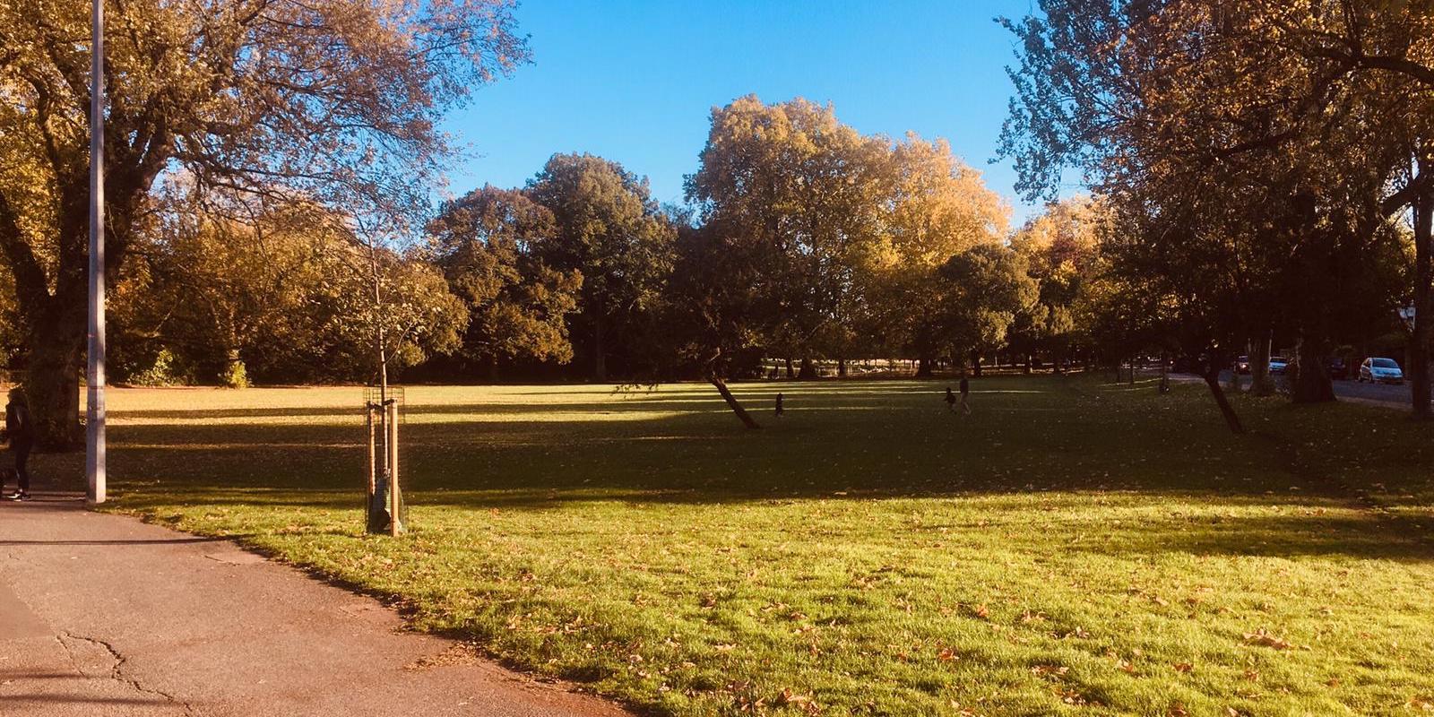 Peckham-Rye-Common-in-October Peckham-Rye-Common-in-October