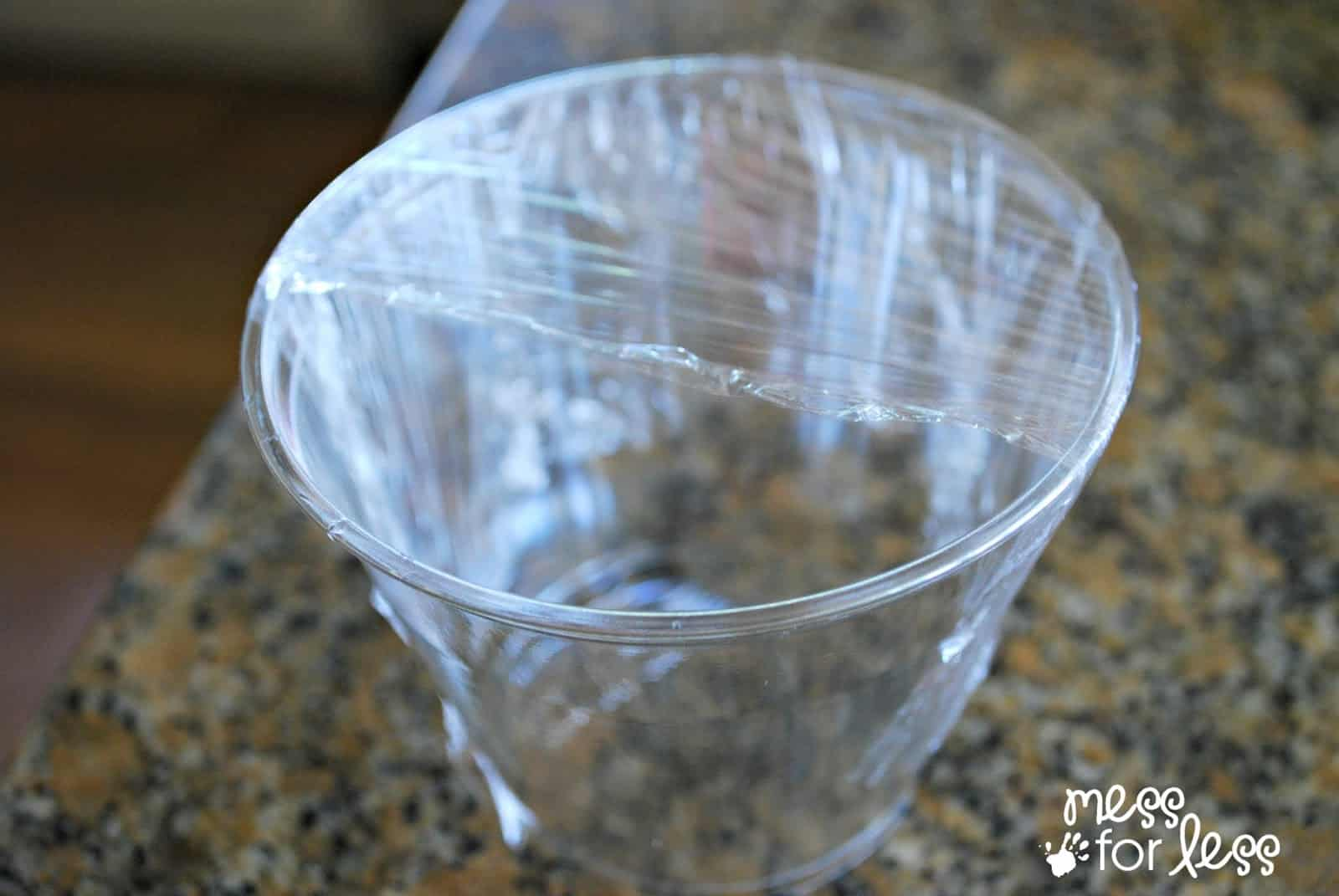 Container and Plastic Wrap