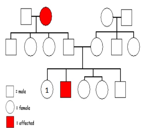 Use A Pedigree To Find The Probability Of Recessive Genetic Disorder Being Passed On Wyzant Ask An Expert