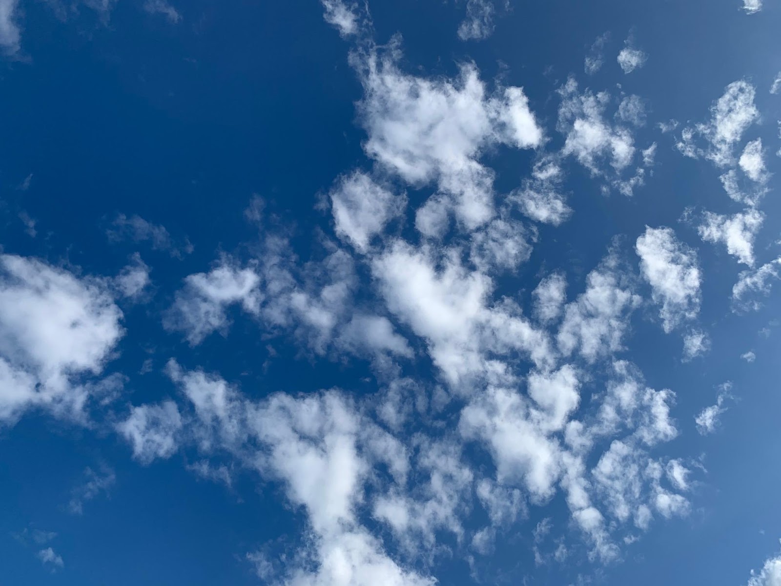 A blue sky with white clouds

Description automatically generated with medium confidence