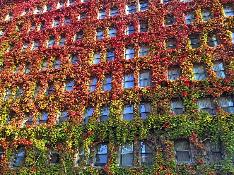 Sylvia Hotel alongside English Bay