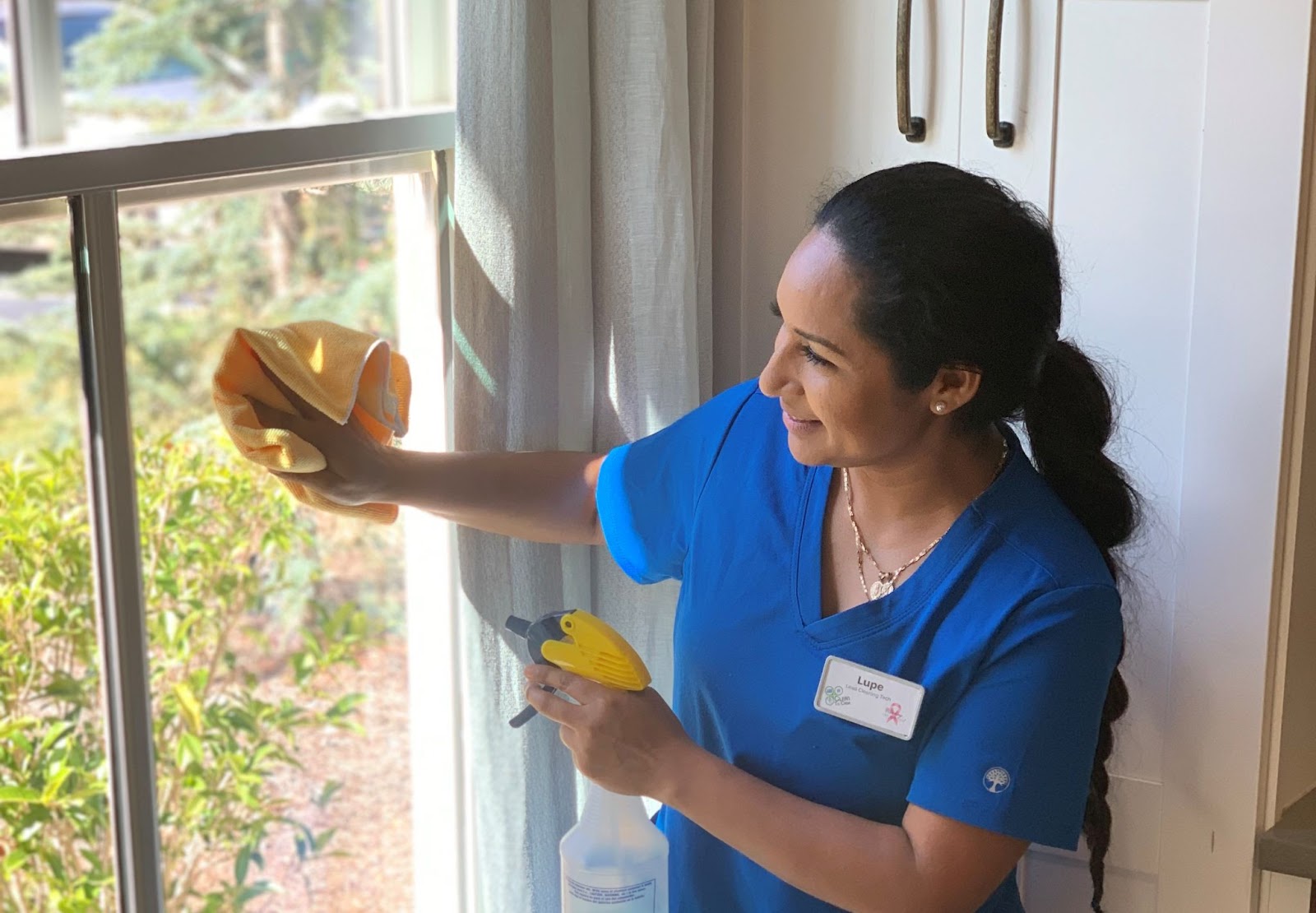 debunk common cleaning myths about window cleaning
