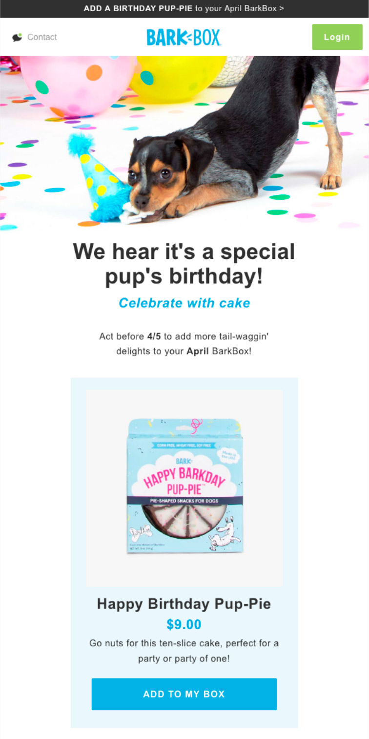 email marketing para tiendas de animales