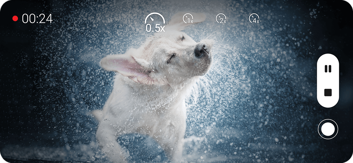 Un perro en el agua

Descripción generada automáticamente con confianza media