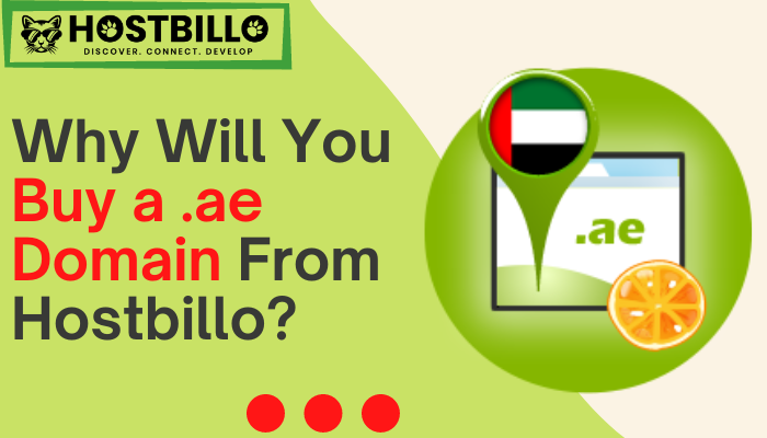 Why Will You Buy a .ae Domain From Hostbillo?