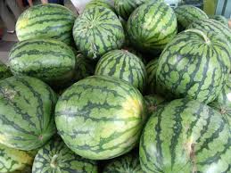 Image result for melons