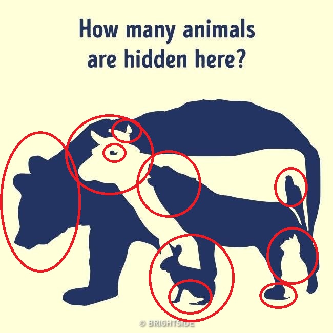 How Many Animals Are in These Optical Illusions?