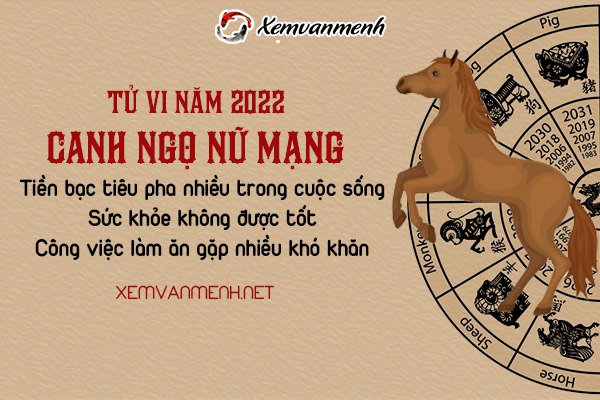 tu-vi-tuoi-canh-ngo-nam-2022-nu-mang-1990