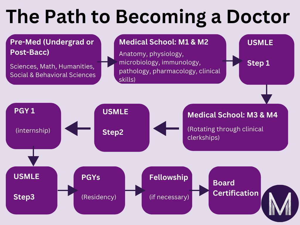 table showing the steps to becoming a doctor in the USA