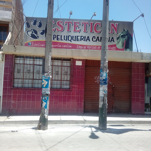 Opiniones de Estetican Peluquería Canina en Paucarpata - Peluquería