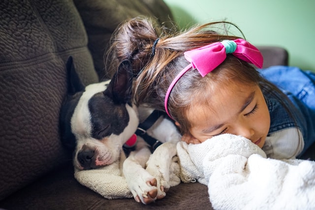 How to make kids and family dog work
