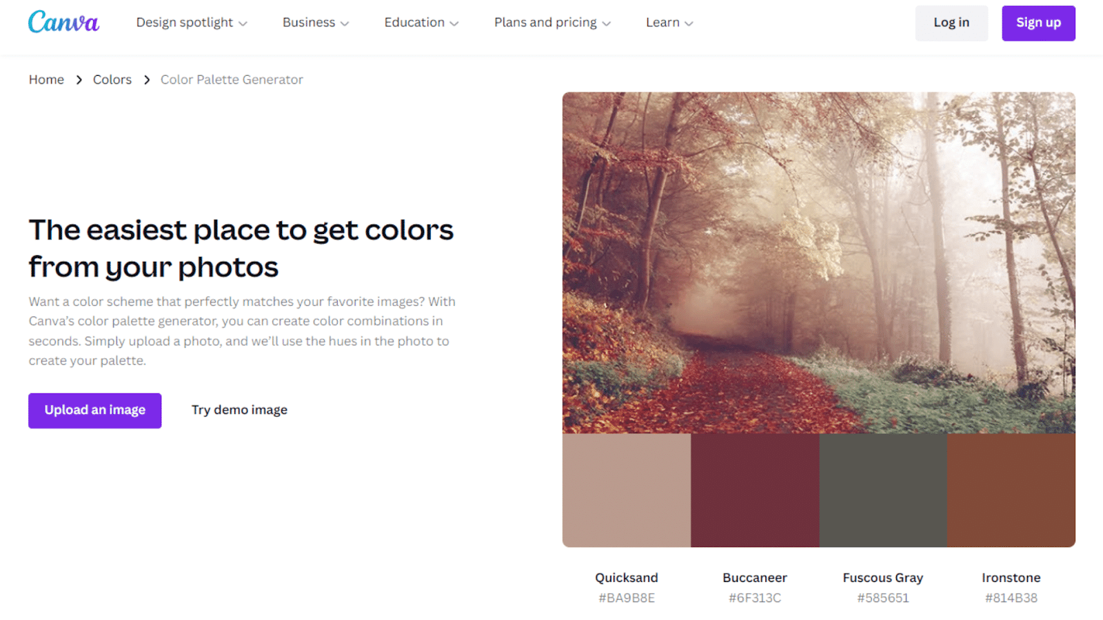 paleta de cores canva