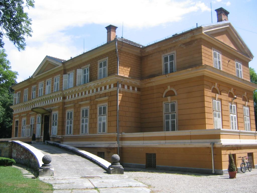 http://upload.wikimedia.org/wikipedia/commons/3/33/Castelul_Regal_de_la_Savarsin4.jpg