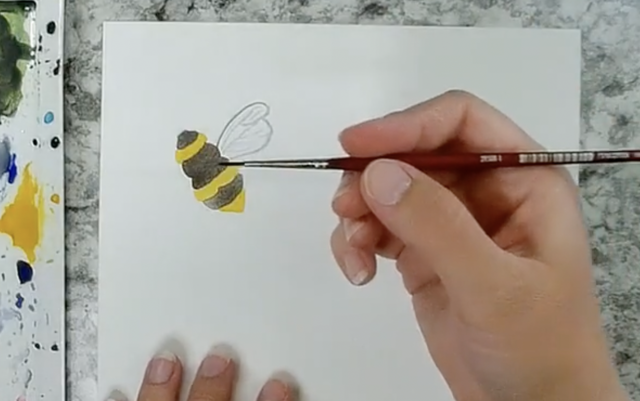 bee body