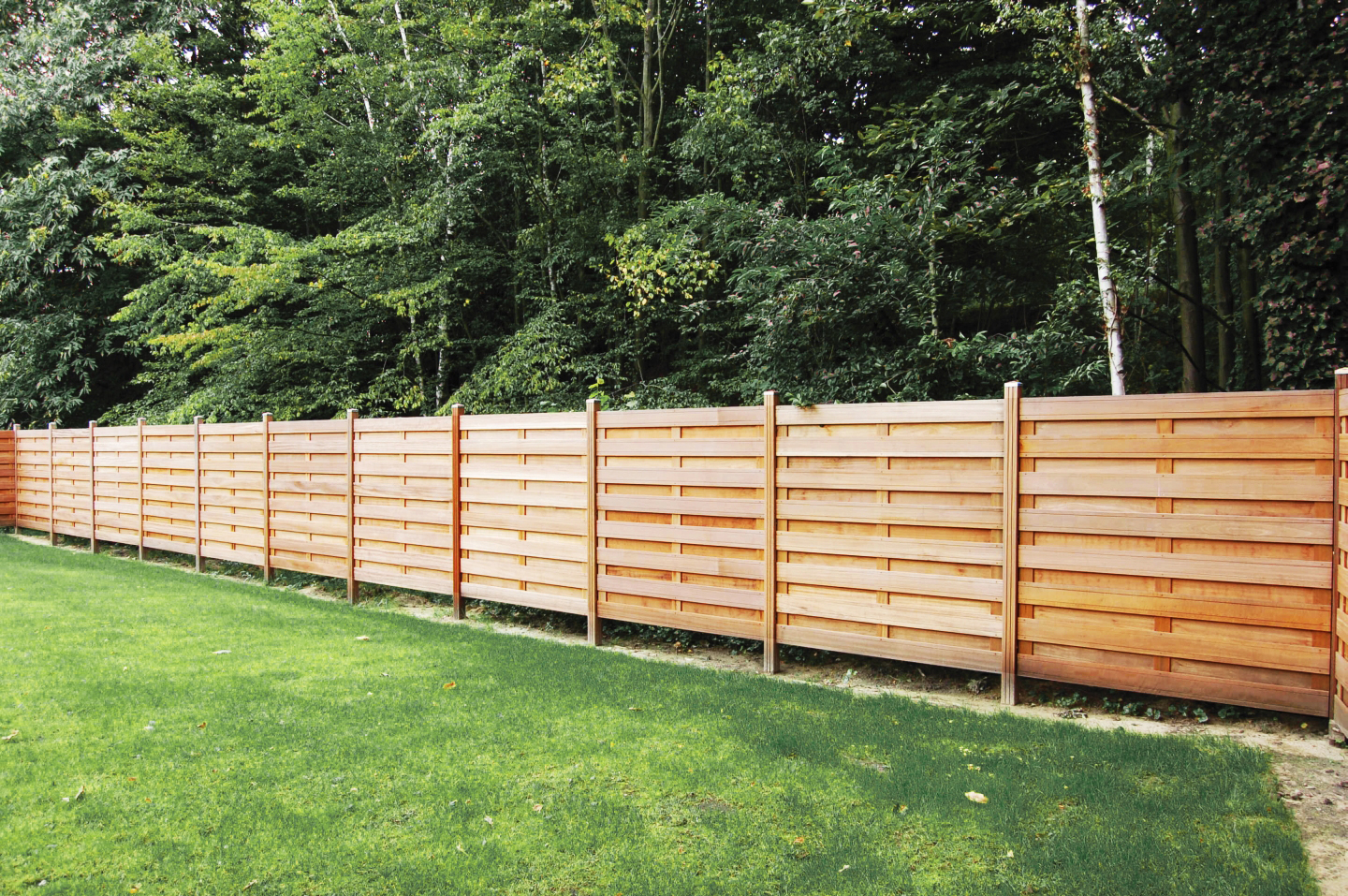 Wooden Fence 