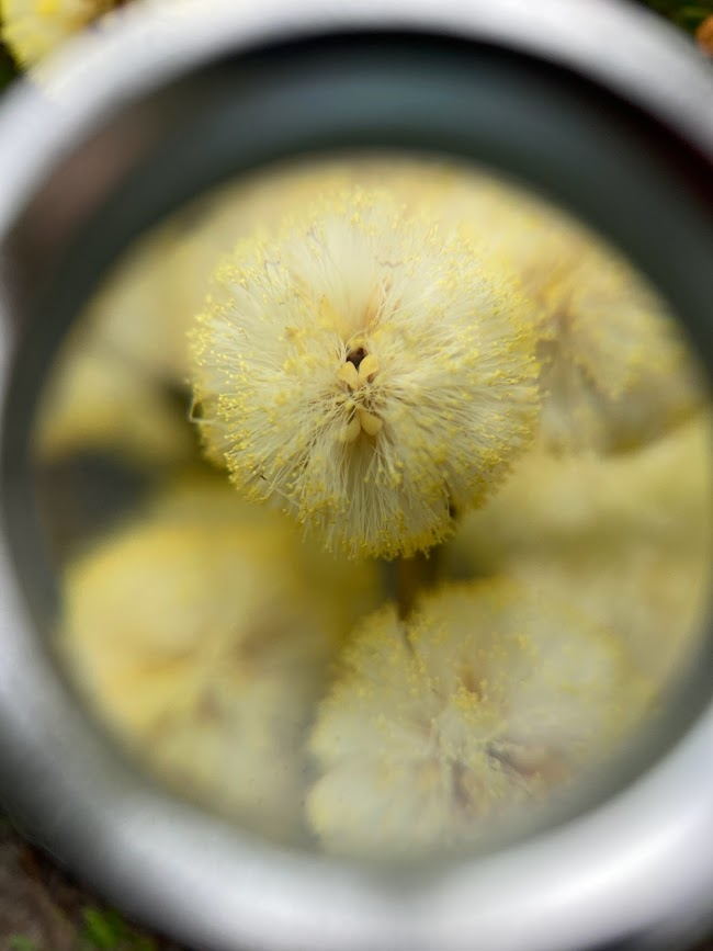 This vial has a vile smell, and these Raptors DO NOT like it