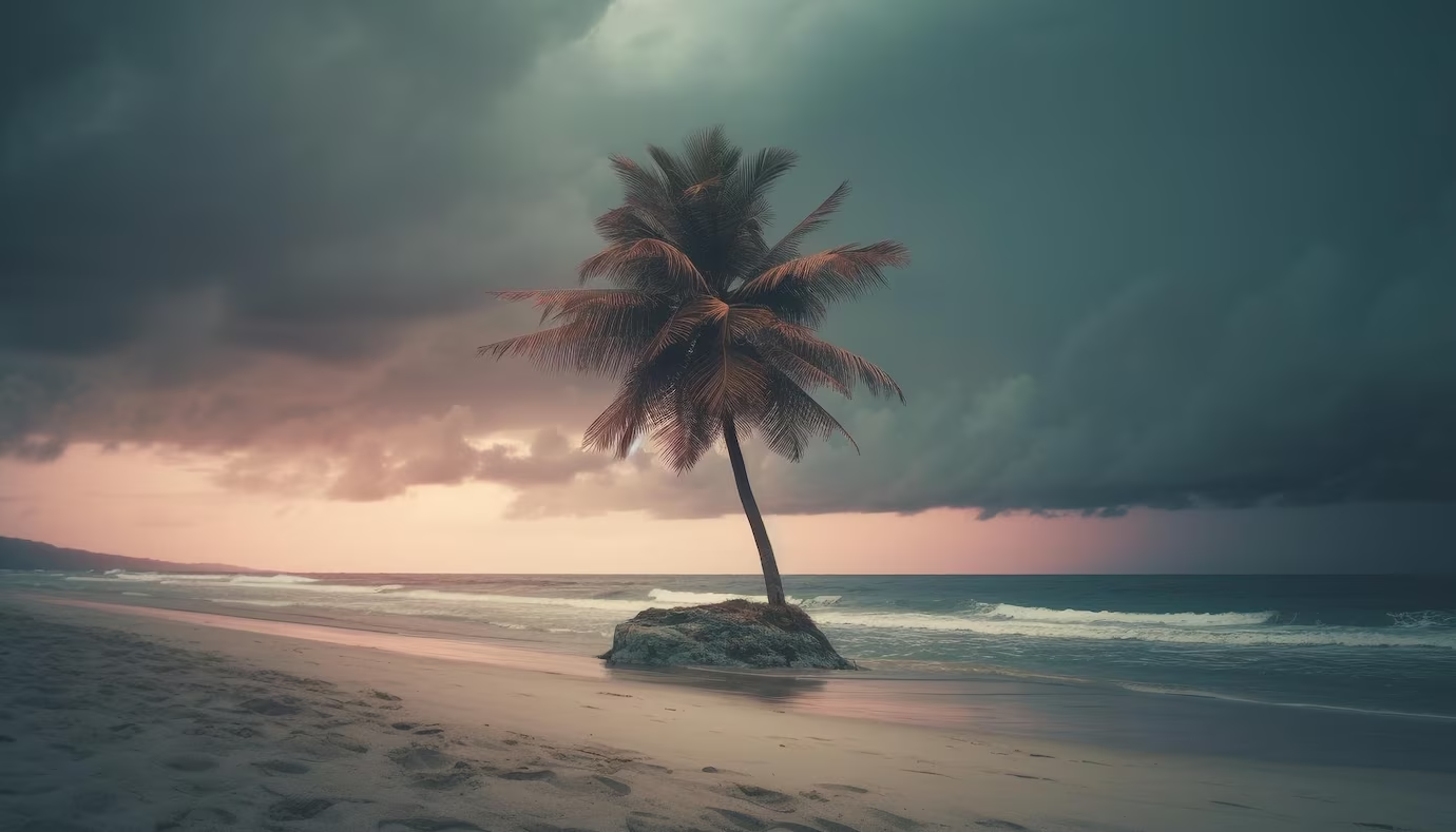 Clima tropicală aridă